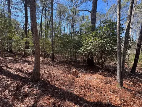 Residential Lot in Captain's Cove