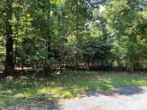 Wooded Lot with Septic