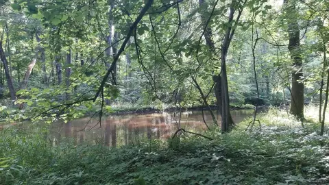 Farmland and Riverfront Hunting Land