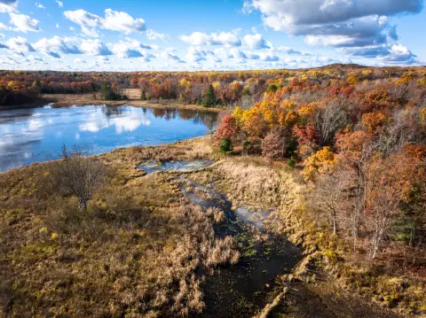 27 Acres Near Government Land