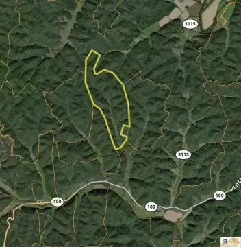 Secluded Acreage with Timber Resources