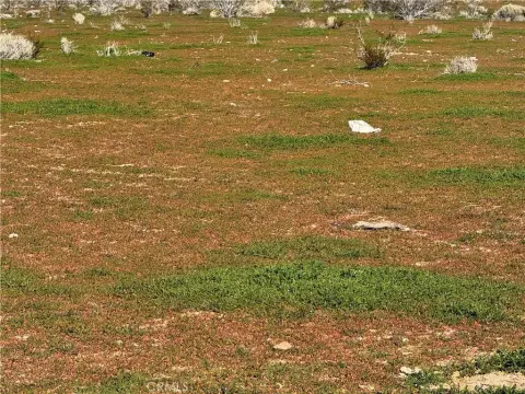 Morongo Valley Residential Land For Sale