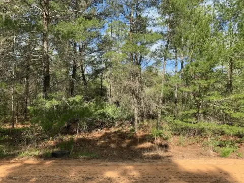 Interlachen Land For Sale