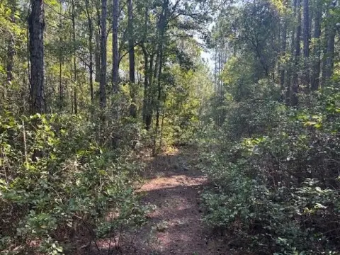 Palatka, FL Land For Sale