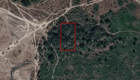 Residential Lot in Okeechobee County