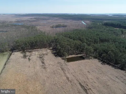 Hunting Land with Development Potential