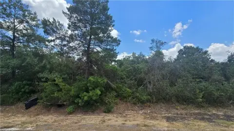 Homesite Near Grassy Lake
