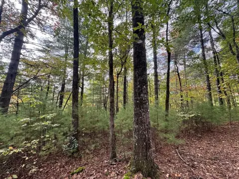 Wooded Lot in Gated Community