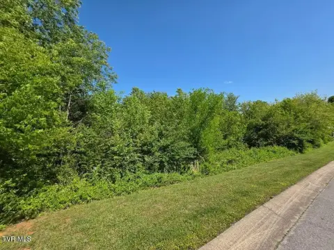 Residential Land in Kodak, TN