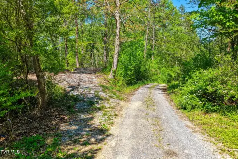 Rogersville Land with Utilities
