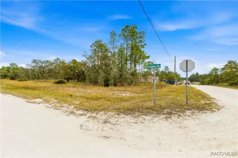 Half-Acre Lot Near Weeki Wachee