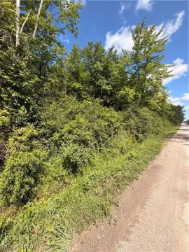 Wooded Recreational Land Parcel