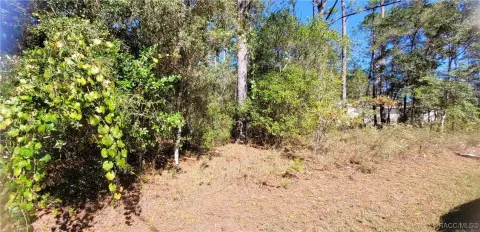 Citrus Springs Land For Sale