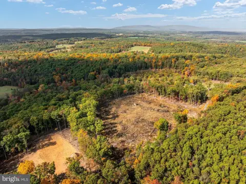 Agricultural Land with Wooded Acreage