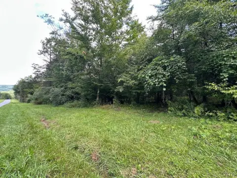 Wooded Hunting Land
