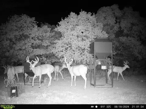 Turn-Key Hunting Tract Near Tulsa