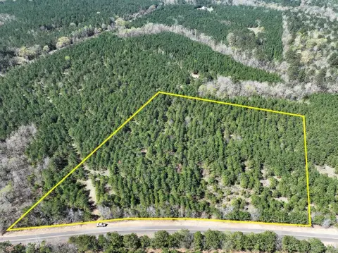 Pine Plantation Recreational Tract