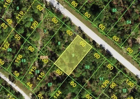 Residential Land in Punta Gorda