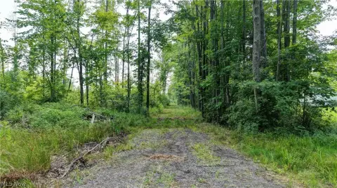 Hunting Land with Food Plot