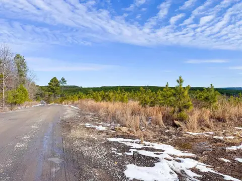 Quitman Acreage with Vista View