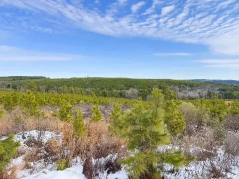 Quitman Acreage with Sweeping Views