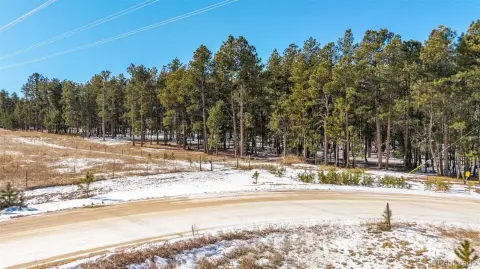 Vacant Land with Permitted Well