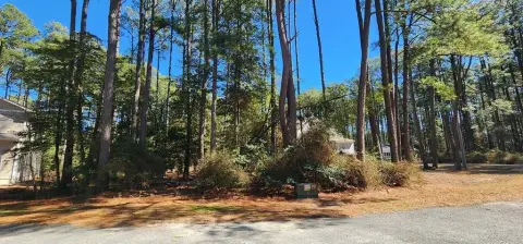 Residential Lot in Captains Cove