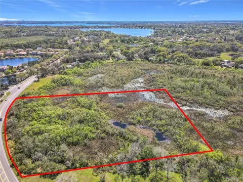 Four Acres in Winter Garden