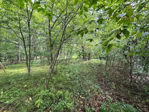 Wooded Hunting Land with Hut