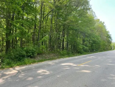 Land For Sale, Saugatuck, MI