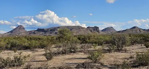 Terlingua Recreation Land