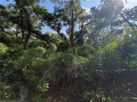 Prime Development Land in Sebring