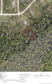 Undeveloped Land in Lake County