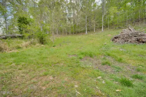 Secluded Land Near Kingsport, TN