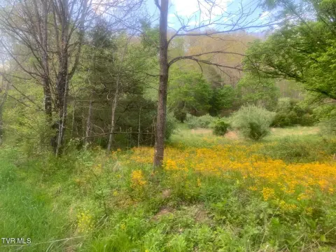 Mountain Land Near National Forest