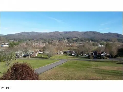 Residential Lot in Mountain City