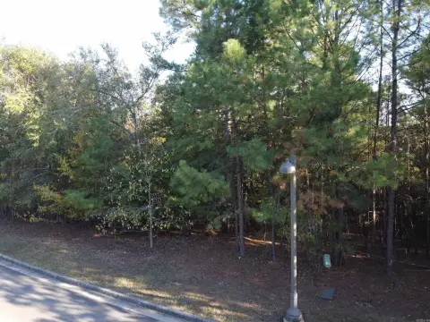 Residential Lot in Gated Community