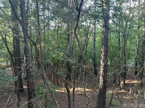 Golf Course Lot in Gated Community