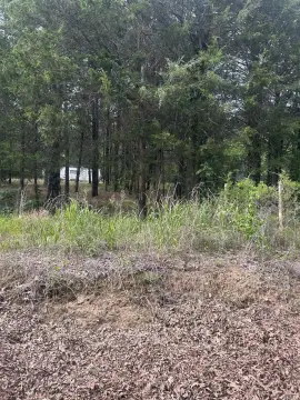 Pleasant Plains Wooded Acreage
