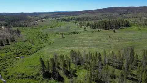 Wyoming Mountain Retreat with Fishing Stream