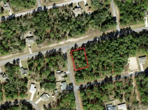 Citrus Springs Corner Lot