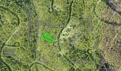 Residential Lot in Hot Springs