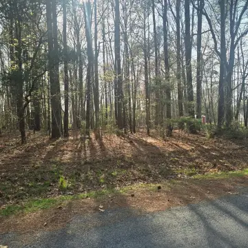 Residential Lot in Pine Meadows
