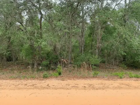 Interlachen Land For Sale