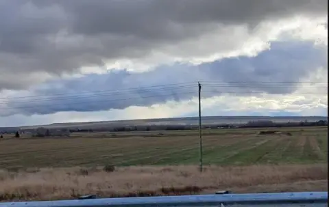 Timothy Hay Farmland