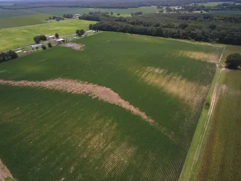 Dry Farm Tract for Sale