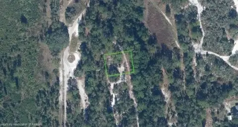 Vacant Land in Avon Park