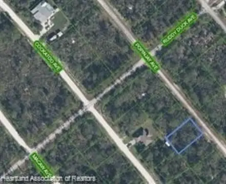 Land in Lake Placid, FL