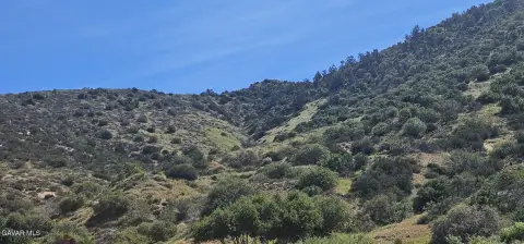 Palmdale Land for Future Development