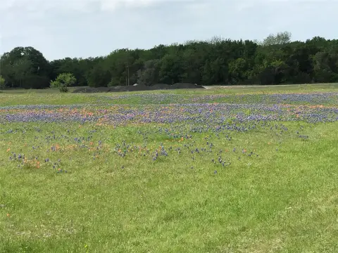 Cleared Resort Lot